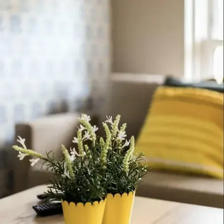 Apartment O'connell St Self-catering *