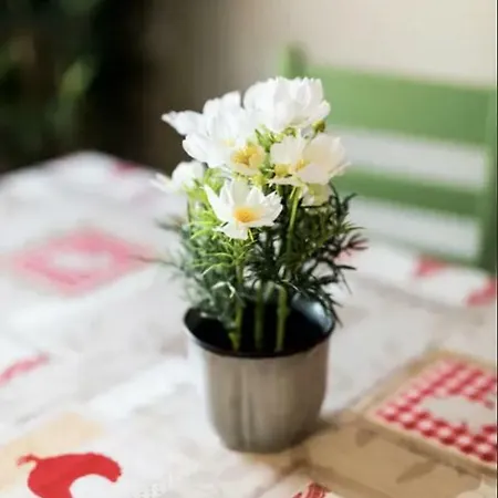 O'connell St Self-catering * Dublin